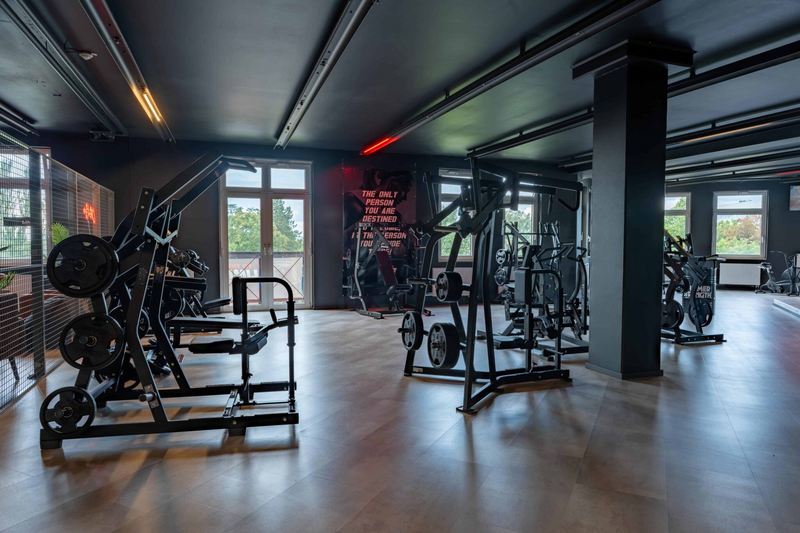 Hammer Strenght Brust und rücken